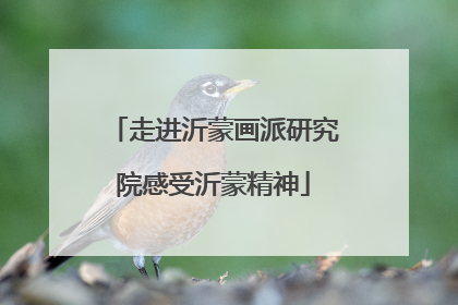 走进沂蒙画派研究院感受沂蒙精神